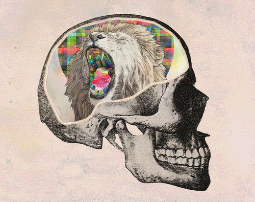 the-real-eye-to-see:  The head is broken