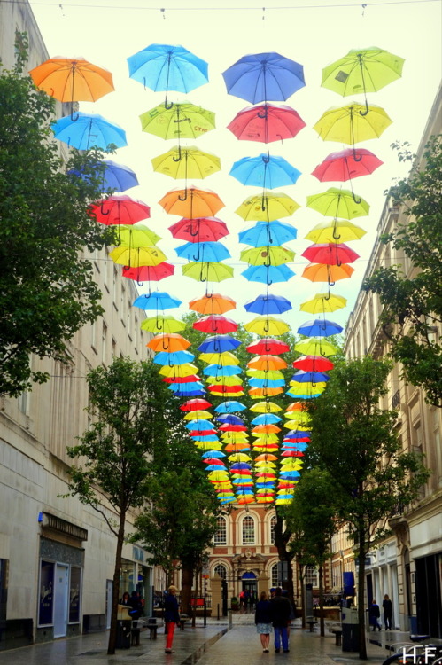 thethingsiveseen-photography:Umbrella street, Liverpool.