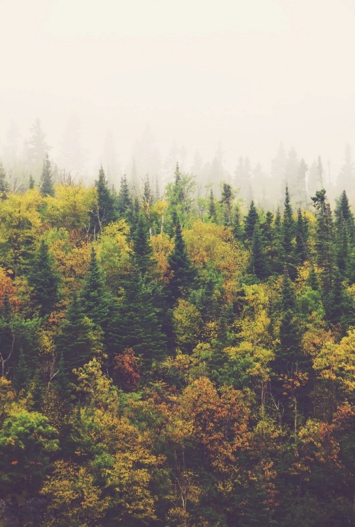 0rient-express:  north of wawa | by Sylvia Mioduszewska.    