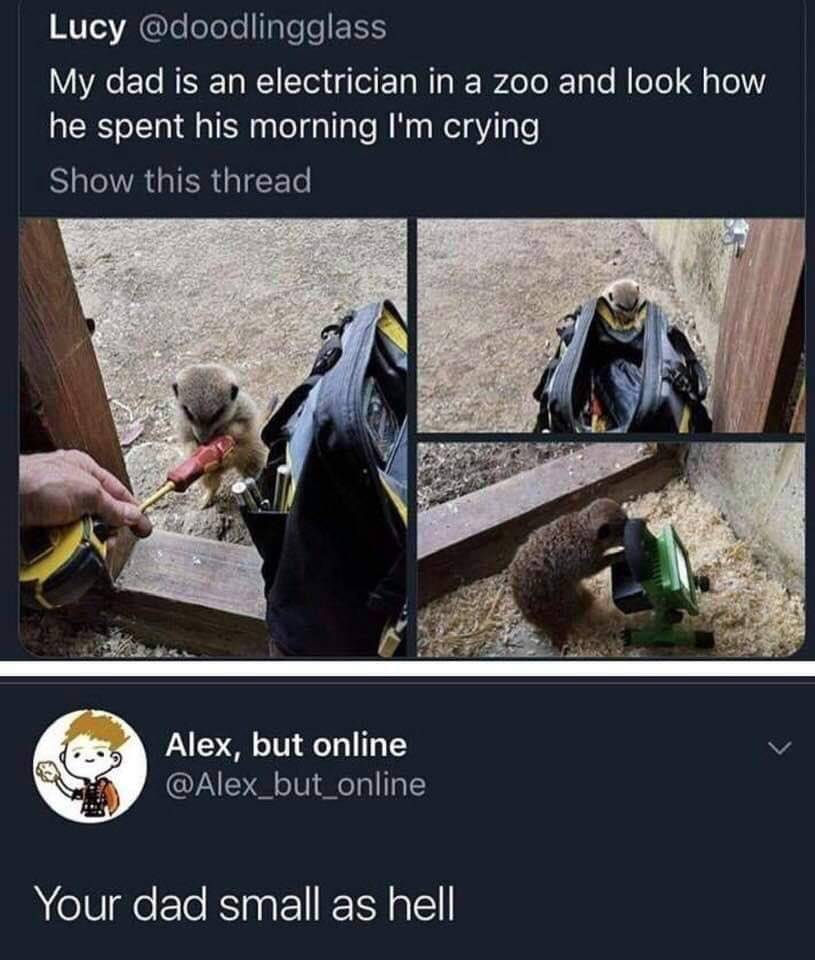 catchymemes