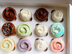 bambinize:  t4iga:  i will never get over cupcakes ever  εїз q’d, at school εїз 