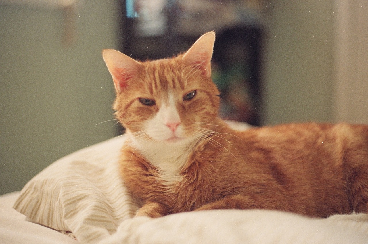 dressingcold:  Tigers Jaw “Hum” video shootWilkes-Barre, PAMarch 2014Website