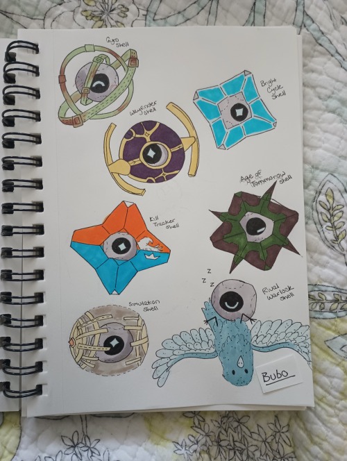 Minerva's Shell Collection