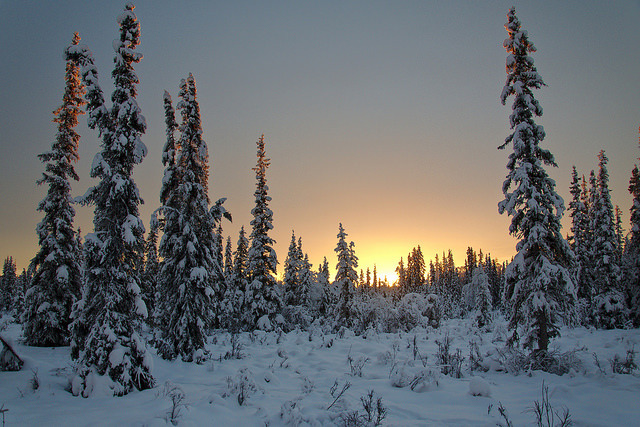 spacettf:  The sunrise this morning was enjoyable by Lee Petersen - lwpetersenphotography.com