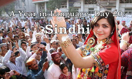 ayearinlanguage: A Year in Language, Day 20: Sindhi Sindhi is the language of the Sindhi people of P