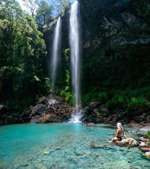 oceaniatropics: Twin Falls, Springbrook National Park, South-East Queensland, Australia