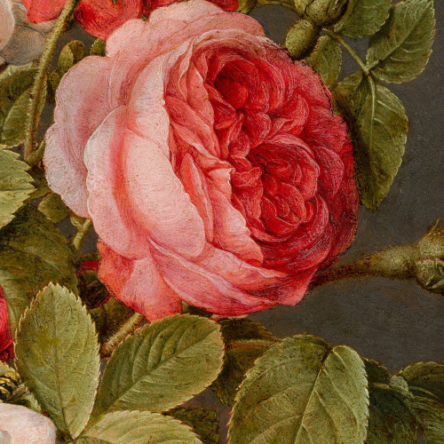 florealegiardini:Roses in a Glass Vase (detail), c. 1640 - 1645. Jacob van Hulsdonck