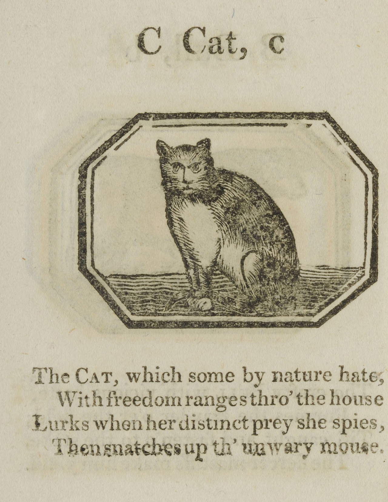 nemfrog - The cat, which some by nature hate/ With freedom...