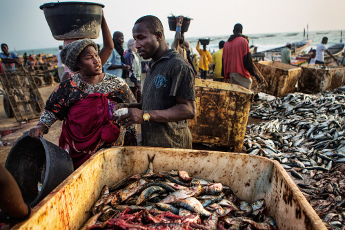 mitchellkphotos: Fish Market (Porto Peche) at Nouakchott, Mauritania. 