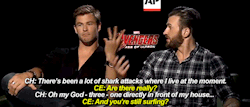 inroomdiningtable:  sheisraging:  Chris Evans has grave concerns about Chris Hemsworth’s life choices  I like a man who approaches “nope” situations the same way I do. 😆