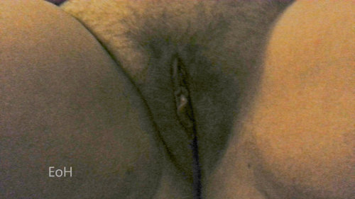 examplesofhot:  The light was low when I snapped this shot, but I thought Mrs.ExamplesofHot’s pussy looked too cute not to share.