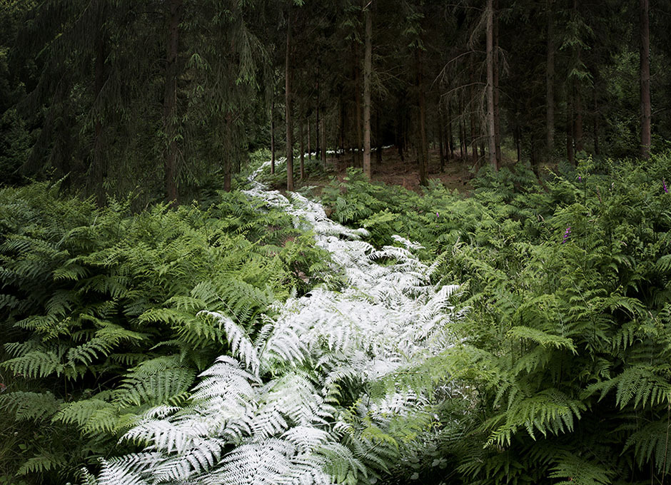 davidesky2:  by Ellie Davies, via Beautiful/Decay.