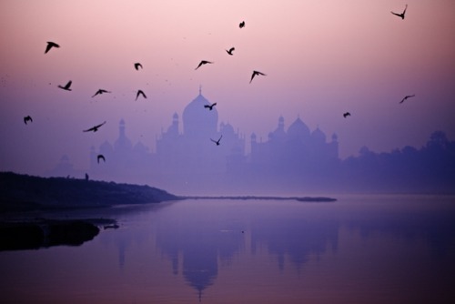 unrar:The Taj Mahal with a flock of black birds taking flight over the Yamuna River, Gianluca Colla.