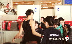 taozia-deactivated20210921:                        86/100 gifs of tao: his body.                       