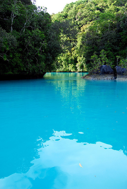 cristimoise:Turquoise Sea, Palau. Photo via depreciated on flickr.