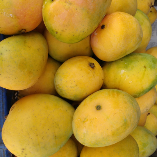 Bangapalli