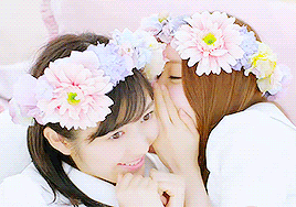 akb48g-gifs:  AKB48 31st Single: “Sayonara Crawl”“Crawl of memories, the summer