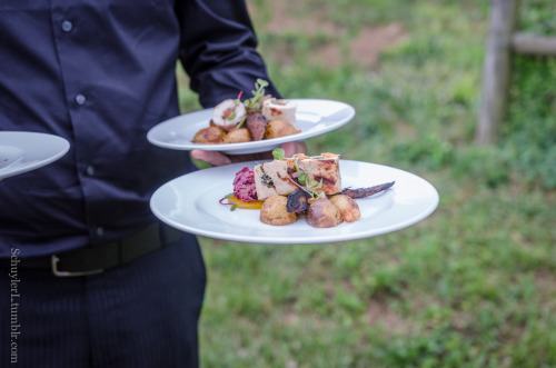 Riverbend Environmental Education Center: Farm to TableJune 2015, Gladwyne, PA By Schuyler LOriginal