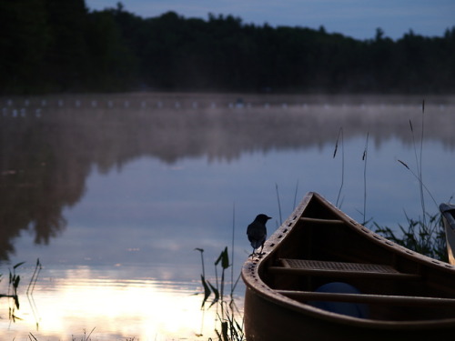 Sharbot Lake. 