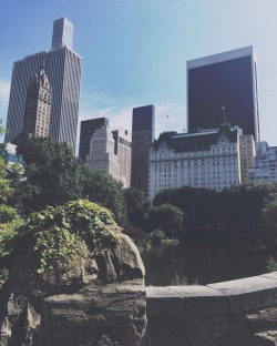 at Central Park