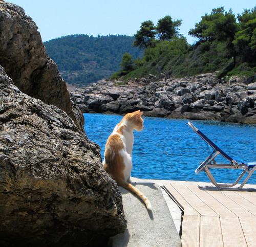 Porto Valitsa, Greece(via Ivan Vidakovic)