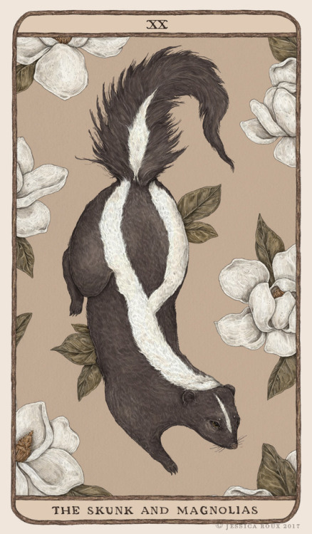 The Skunk and Magnolias, for my upcoming oracle deck, Woodland Wardens. So excited to share that I’l