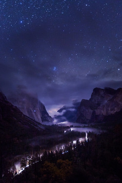 modernambition: Foggy Tunnel View | WF 