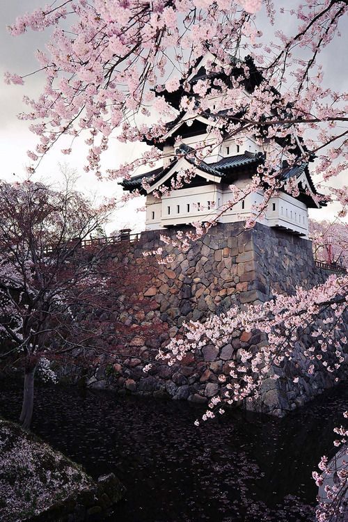 Hirosaki Castle in Spring. Japan - (By Glenn Waters) Want to know more about Japan? Visit : www
