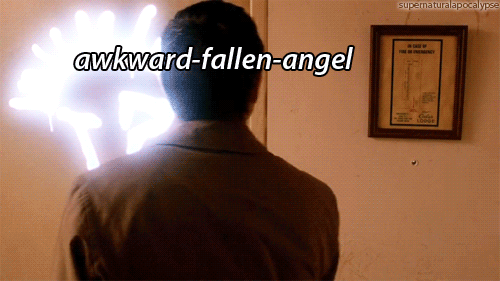 demon-deans-dimples:  There. My time spent in the Supernatural fandom all in one
