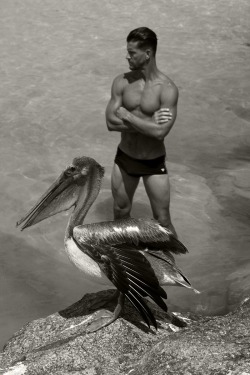 rickycohete:Josh & the pelican