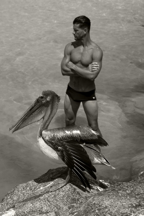 XXX rickycohete:Josh & the pelican photo