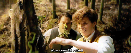 pottersource:#tbh i wouldn’t wanna leave newt’s side either 
