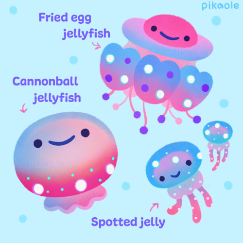 edenfolwell: Milk Jug Jellyfish