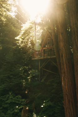 mstrkrftz:  Sequoia Retreat Center by Sarah