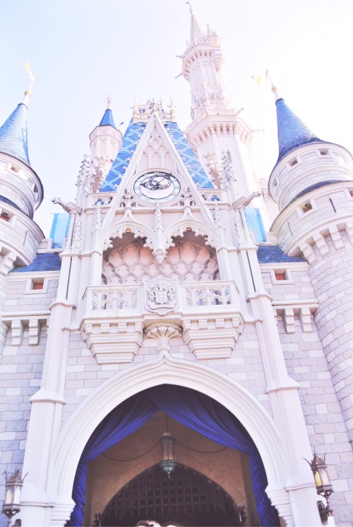 cinderella castle