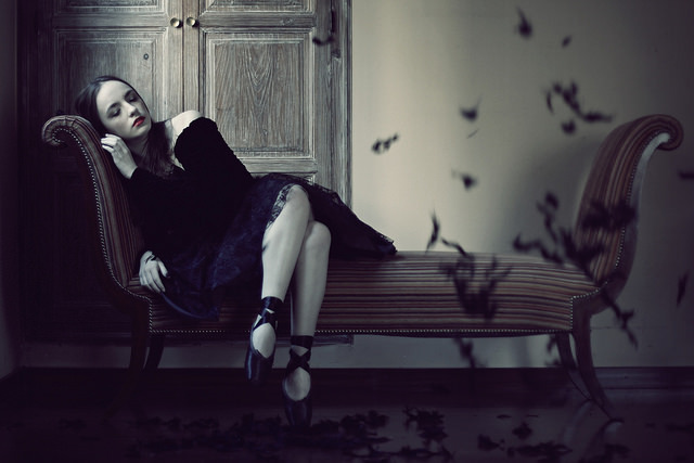 notesofautumn:  Black swan by Sus Blanco on Flickr.
