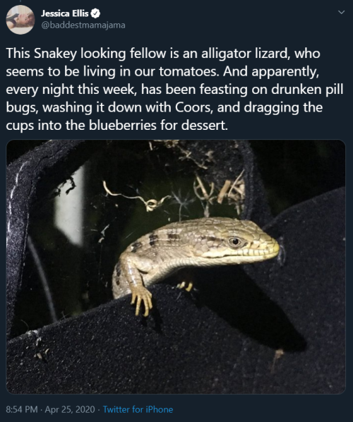 shadow-daughter:  awed-frog:  Okay but imagine porn pictures