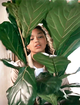 tumblr_prrdjbVzqu1s1z1q5o2_400.gif