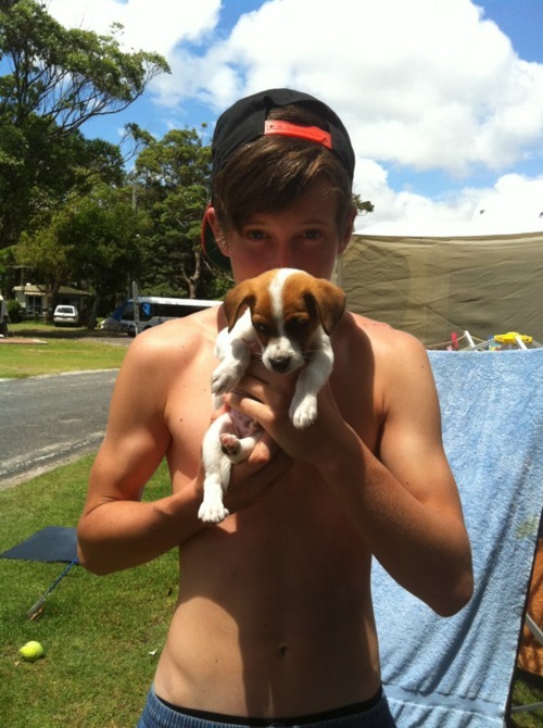 kyboth:  neverlandrv246:  Cute Puppy  ♂ 