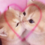 kulocchi