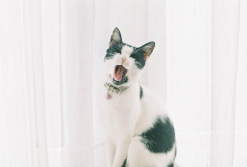 thirtieths:  (by yaprak_ataman) 