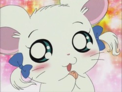 BIJOUX! OMG. Hamtaro is my favorite. (I guess