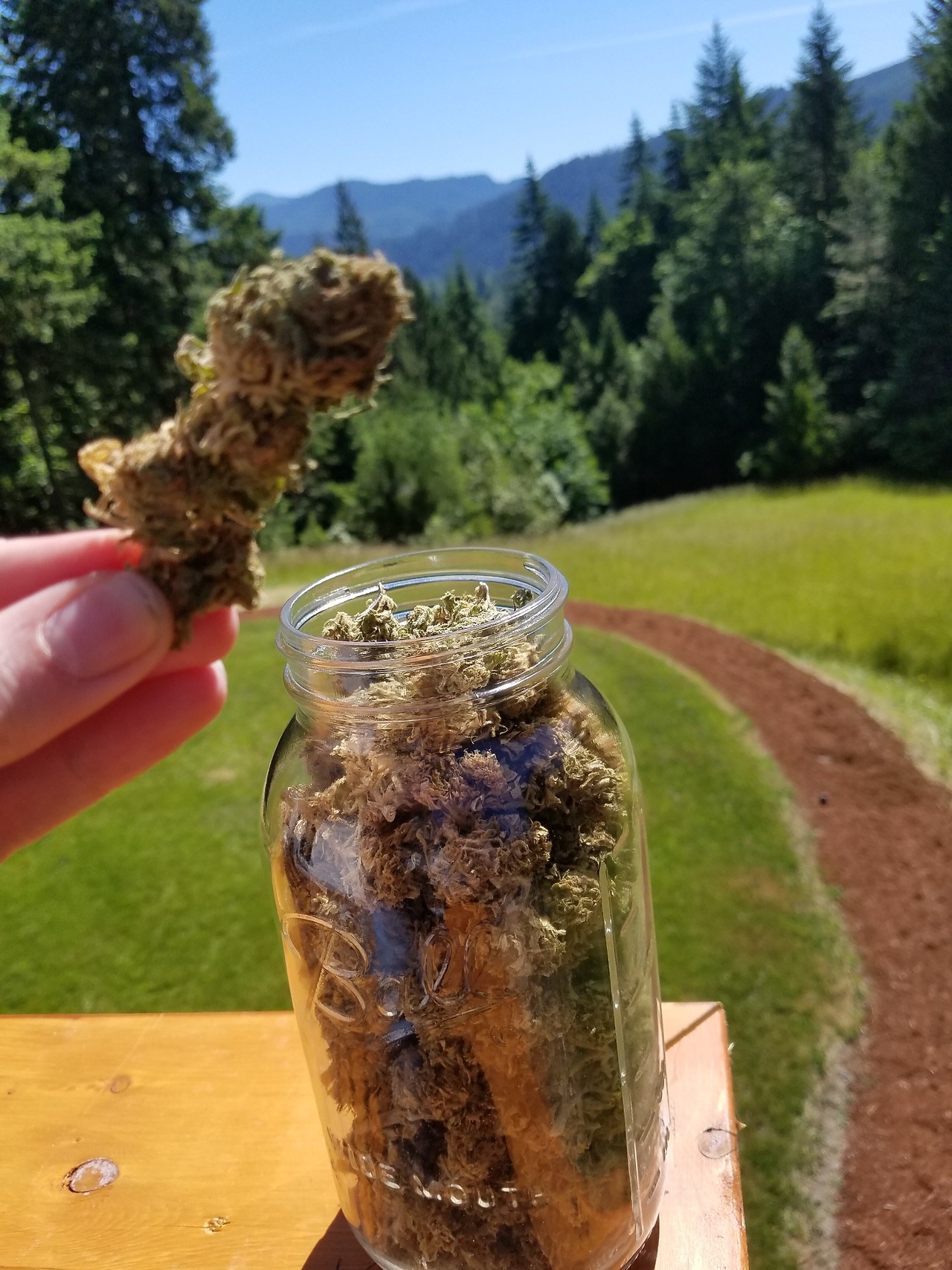 lameeejaneee:  4 oz Durban Poison, a beautiful day, and that amazing view 😍