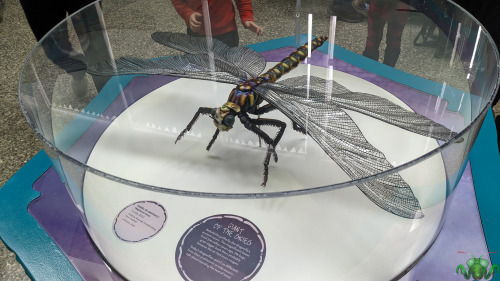 Ontario Science Centre - Bug Lab 2022Spoilers galore! These are some of the highlights of the Ontari