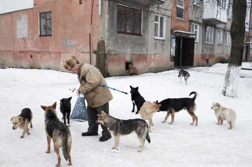 chrisnunnphoto:  A man feeds stray dogs, Kalush, Ukraine, February 2014 From the series A Row of Bon