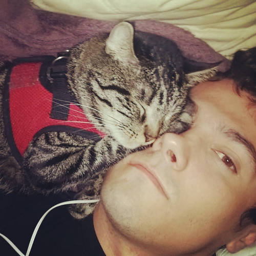 catsbeaversandducks:Cats make great napping buddies.Via DoseBut? Last one not cat?