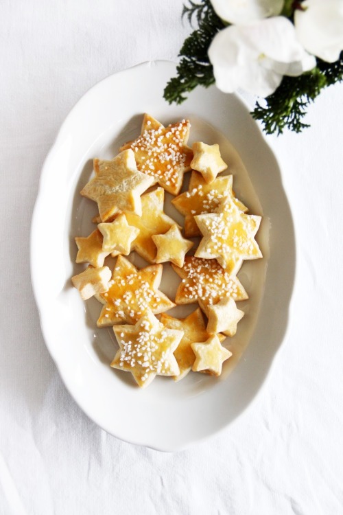 confectionerybliss:Christmas Tree Forest Cookies &amp; Mailänderli - Milanese Cookies 