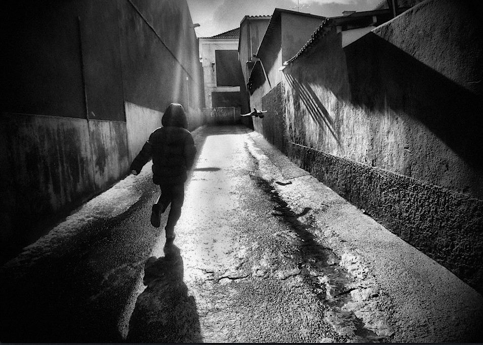 Rui Palha
A race between the boy and the pigeon, Portugal
Also