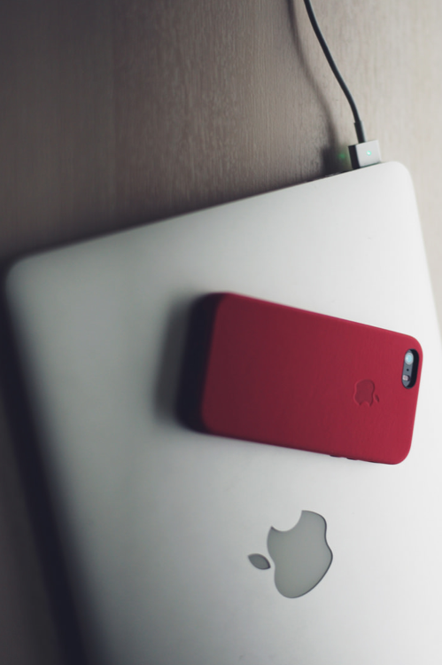 lightexpo:  Red Leather | Ong