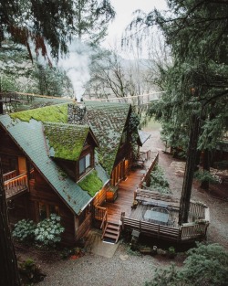 wild-cabins:Bryan Daugherty